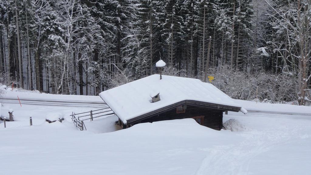 Almbruennerl Almhuette Auf Der Raffner Alm * Ruhpolding